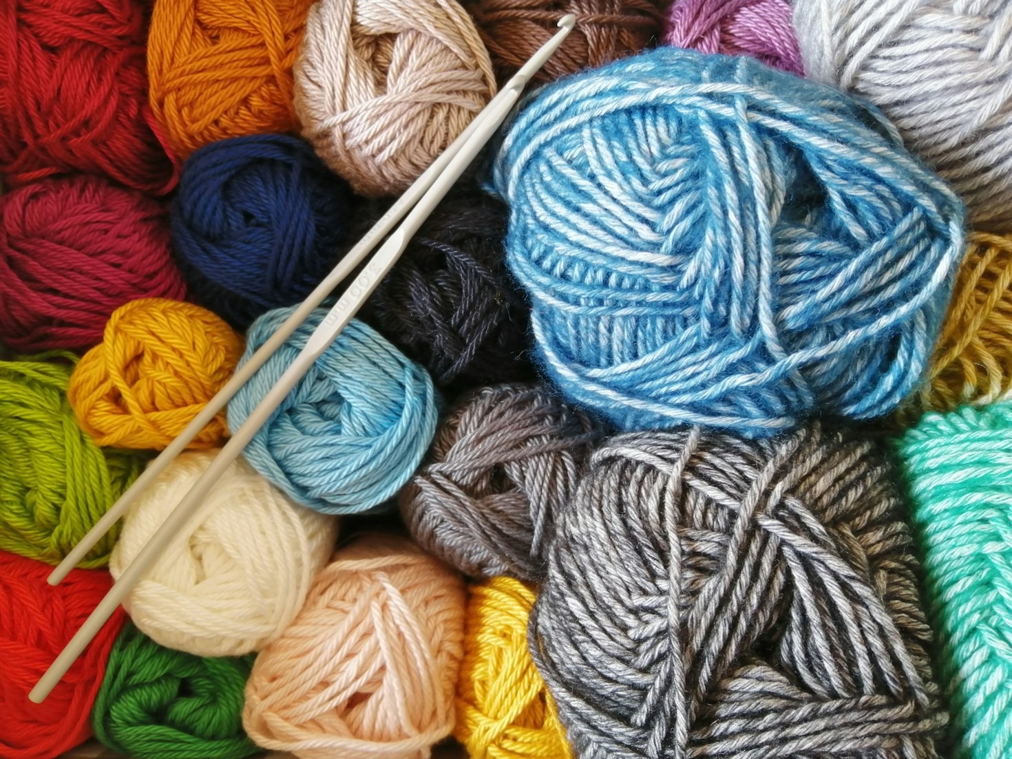 The Best Wool For Cold Climates